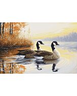 Luca-s borduurpakket ganzen B728 telpatroon