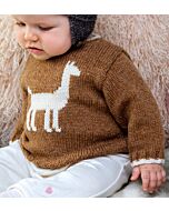 Breipakket babytrui van Phil Soft+ van Phildar