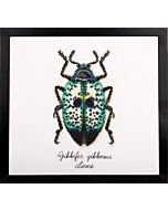 Borduurpakket Blauwe kever aida om te borduren pn-0165369