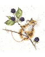 Bothy Threads borduurpakket muis tussen de bramen XHD91