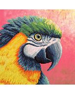 Bothy Threads borduurpakket papegaai XRF1 borduren