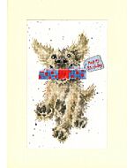 Bothy Threads wenskaarten hondje met cadeau XGC31 borduren