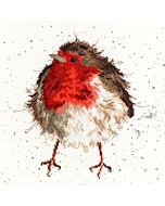 Bothy Threads borduurpakket Jolly Robin roodborst XHD5 borduren