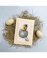 Bothy Threads borduurpakket wenskaart peek-a-boo XGC48 telpatroon