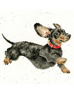 Bothy Threads borduurpakket teckel XHD92 borduren