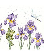 Borduurpakket irissen en kikker en libel om te borduren Bothy Threads xhd97