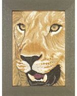 leeuw in close up telpatroon lanarte