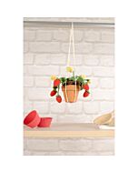 DMC haakpakket aardbeien plant haken