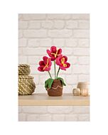 DMC haakpakket aardbeien plant haken