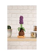 DMC haakpakket aardbeien plant haken