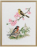 Eva Rosenstand borduurpakket 3 vogels 12-735 borduren op linnen