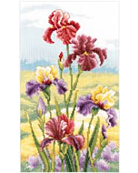 Borduurpakket irissen in ochtendlicht