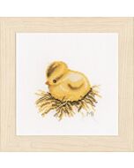 Borduurpakket  kuikentje (chick) Marjolein Bastin  aida