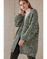 Lana Grossa dames vest breien van Brigitte No.2 (F70,M8)