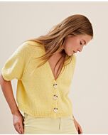 Lana Grossa raglanvest breien van Summer Softness (LB18,M4)