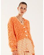 Lana Grossa vest van Brigitte No.3 (m42)