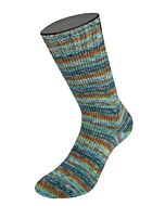 Lana Grossa Landlust Die Sockenwolle kl.813 4-draads (blauw/groen/bruin/donkerpaars)