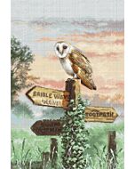 Borduurpakket Letistitch  kerkuil L8031 met telpatroon