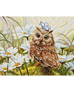 Luca-s borduurpakket Lucky uil om te borduren b7011