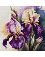 Luca-S borduurpakket Iris burgermeister B7023 telpatroon