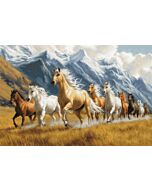 Luca-s borduurpakket 'free spirit' B704  telpatroon