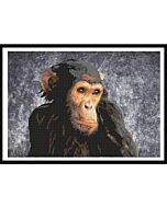 Borduurpakket Aap met telpatroon van Marie Coeur om te borduren