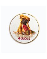 Luca-s Needle Minder pinguïn