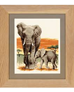 Borduurpakket Olifanten op tocht
