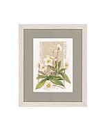 Borduurpakket marjolein bastin Witte pracht (pure white)