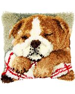 knoopkussen slapende bulldog