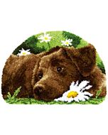 knooppakket knoopkleed bruine labrador van Vervaco om te knopen pn-0153852