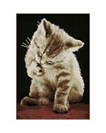 Vervaco borduurpakket Katje PN-0155780 telpatroon