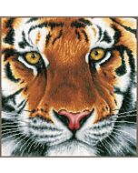Borduurpakket tijger van Lanarte pn-0156104 aida van Vervaco