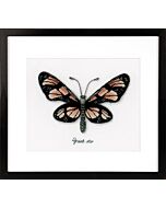 Oranje vlinder pn-0165401