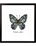 Borduurpakket Blauwe vlinder aida om te borduren pn-0165403