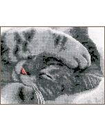 Borduurpakket Schattige kitten van Vervaco