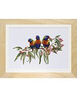 Borduurpakket lorikeets van Thea Gouverneur aida 553