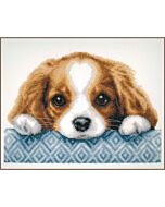 Vervaco borduurpakket puppy PN-0203575 telpatroon