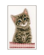 Vervaco borduurpakket kitten PN-0203580 telpatroon