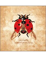 Lanarte borduurpakket Coccinella lieveheersbeestje PN-0222198 evenweave telpatroon