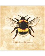Lanarte borduurpakket bombus lucorum bij PN-0222208 evenweave telpatroon