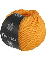 Lana Grossa Promessa kleur 25 (zeegroen)