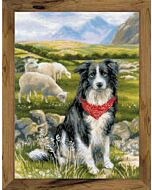 Riolis borduurpakket Border Collie 1767 met telpatroon