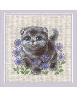 Riolis borduurpakket Kitten 2120 telpatroon