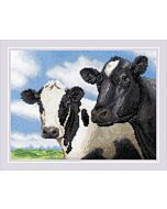 
Riolis borduurpakket nieuwsgierige koeien 2237 telpatroon
