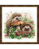 Riolis borduurpakket egels borduren 1469 met telpatroon