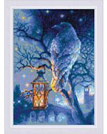 Riolis borduurpakket wise raven 1876