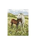 Borduurpakket   tenderness om te borduren van Rto paard met veulen