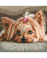  Borduurpakket yorkshire terrier pet  om te borduren van rto m709
