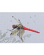 RTO borduurpakket Dragonfly M757
